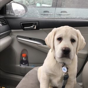 Meet your Posher, Anthony